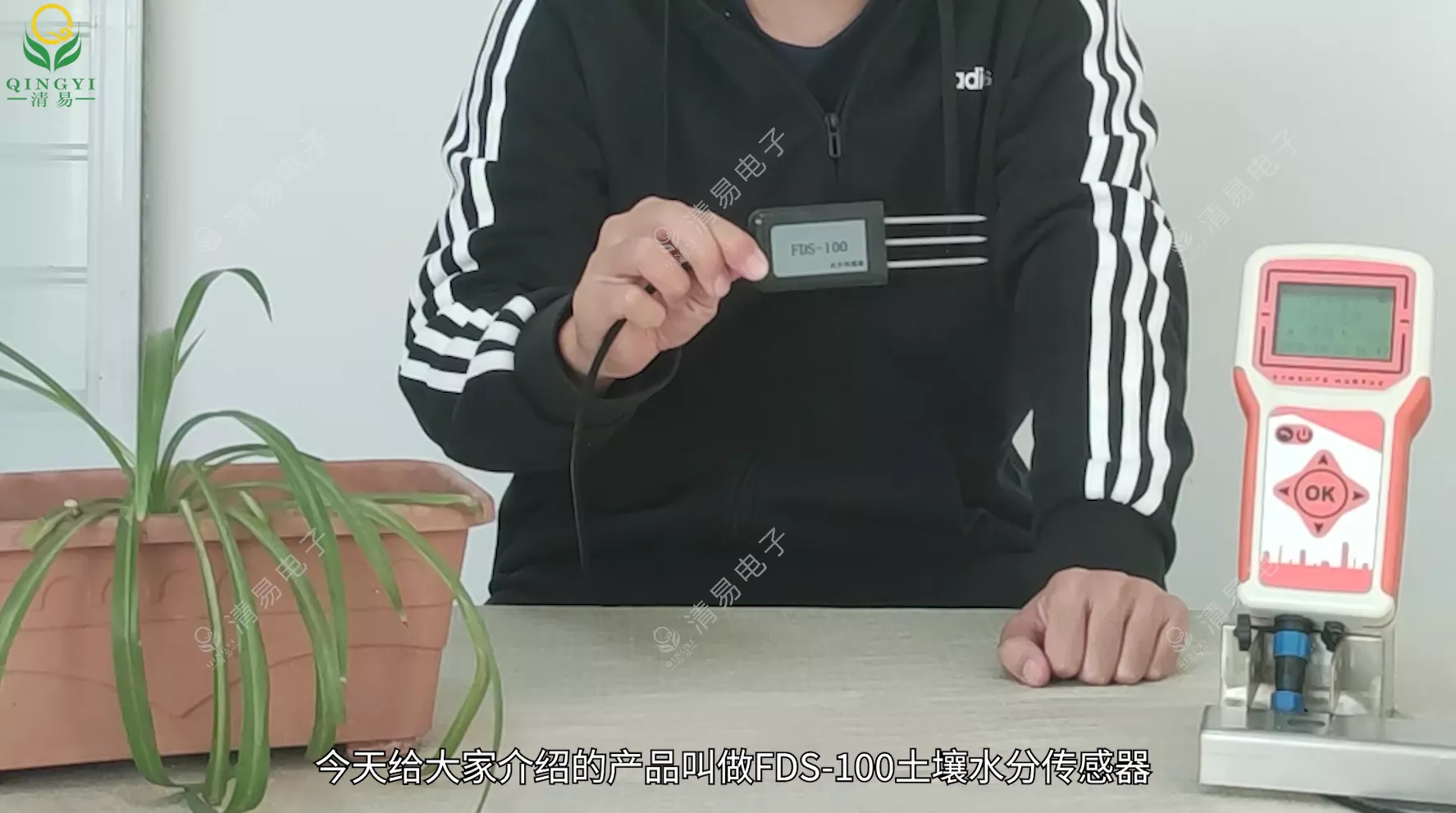 FDS-100 土壤水分传感器