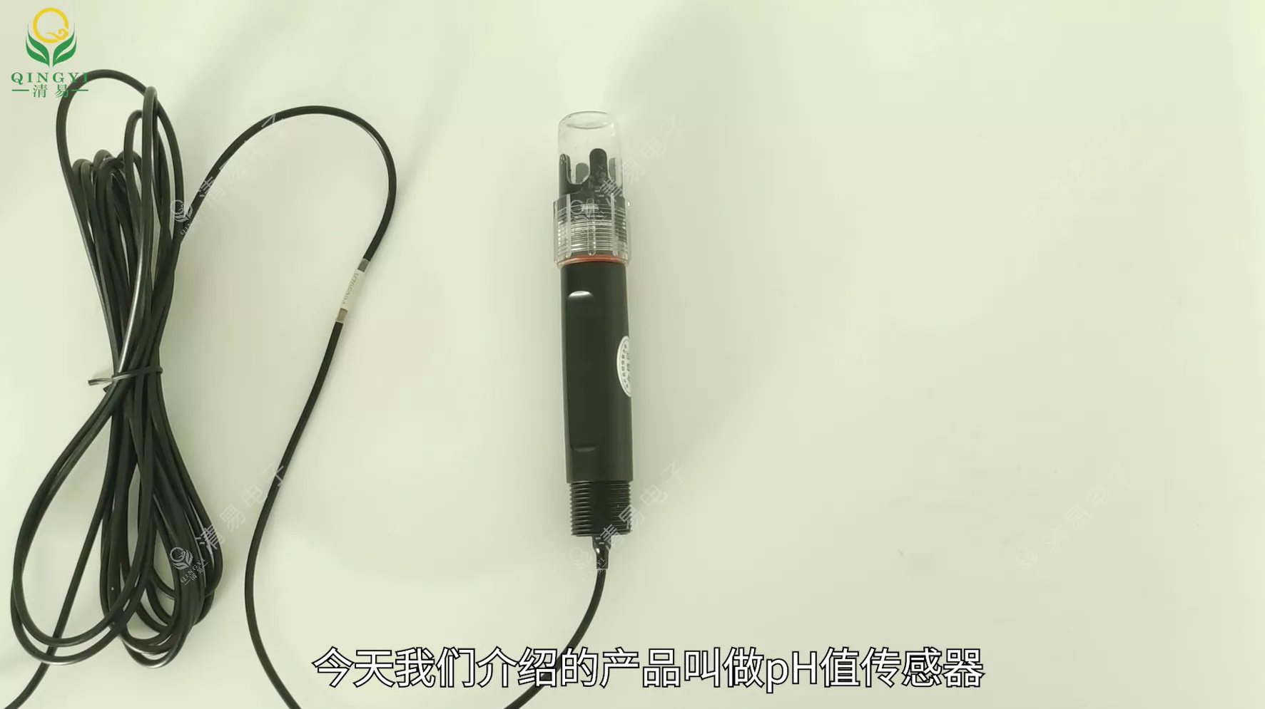 CG-19 pH传感器